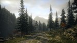 РФГЛОБАЛSTEAM | ALAN WAKE Collector's Edition КЛЮЧ - изображение № 6