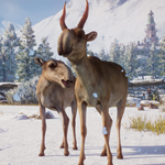 ????Planet Zoo Eurasia Animal Pack????АВТО•STEAMРФ/МИР - изображение № 4
