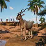 ????Planet Zoo Arid Animal Pack????АВТО•STEAMРФ/МИР - изображение № 3
