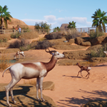 ????Planet Zoo Arid Animal Pack????АВТО•STEAMРФ/МИР - изображение № 4