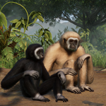 ????Planet Zoo Tropical Pack????АВТО•STEAMВСЕ РЕГИОНЫ - изображение № 4