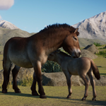????Planet Zoo: Conservation Pack????АВТО•STEAMРФ/МИР - изображение № 4