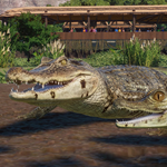 ????Planet Zoo Wetlands Animal Pack????АВТО•STEAMРФ/МИР - изображение № 3