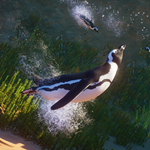 ????Planet Zoo: Africa Pack????АВТО•STEAMВСЕ РЕГИОНЫ - изображение № 2