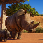 ????Planet Zoo: Africa Pack????АВТО•STEAMВСЕ РЕГИОНЫ - изображение № 4