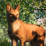 ????Planet Zoo Southeast Asia Animal Pack????АВТО РФ/МИР - изображение № 3