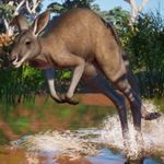 Planet Zoo: Australia PackАВТО•STEAMВСЕ РЕГИОНЫ - изображение № 3