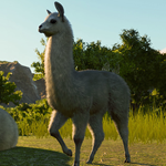 ????Planet Zoo: South America Pack????АВТО•STEAMРФ/МИР - изображение № 2
