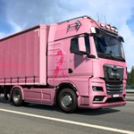 Euro Truck Simulator 2 Pink Ribbon Charity PackАВТО МИР - изображение № 2