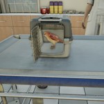Animal DoctorАВТО•STEAMВСЕ РЕГИОНЫ - изображение № 2