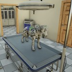 Animal DoctorАВТО•STEAMВСЕ РЕГИОНЫ - изображение № 4