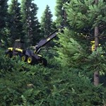 Lumberjack's Dynasty Digital Supporter Pack АВТО МИР - изображение № 4