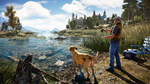 Far Cry 5 подарок-Steam