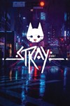 АККАУНТ + Stray  Турция  - изображение № 3