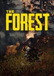 АККАУНТ + The ForestТурция 