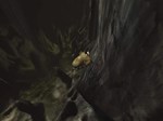 AquaNox 2: Revelation КЛЮЧ STEAM РФ+СНГ - изображение № 5