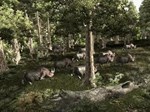 Gothic III КЛЮЧ STEAM РФ+СНГ - изображение № 5