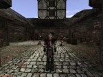 Gothic II: Gold Edition КЛЮЧ STEAM РФ+СНГ - изображение № 4