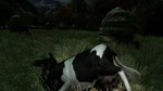 The Cows are watching КЛЮЧ STEAM РФ+СНГ - изображение № 9