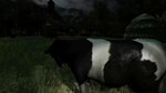 The Cows are watching КЛЮЧ STEAM РФ+СНГ - изображение № 3