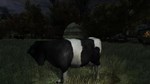 The Cows are watching КЛЮЧ STEAM РФ+СНГ