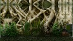 Biotope КЛЮЧ STEAM РФ+СНГ - изображение № 6