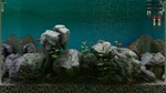 Biotope КЛЮЧ STEAM РФ+СНГ - изображение № 7