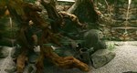 Biotope КЛЮЧ STEAM РФ+СНГ - изображение № 5
