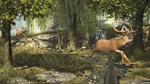 Big Buck Hunter Arcade КЛЮЧ STEAM РФ+СНГ - изображение № 2