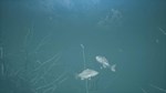 Bassmaster® Fishing 2022 КЛЮЧ STEAM Евросоюз - изображение № 5
