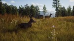 Way of the Hunter - Elite Edition КЛЮЧ STEAM РФ+СНГ - изображение № 3