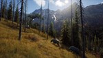 Way of the Hunter - Elite Edition КЛЮЧ STEAM РФ+СНГ - изображение № 4