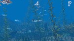 Storm Boy КЛЮЧ STEAM РФ+СНГ - изображение № 6