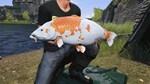 Euro Fishing: Ultimate Edition КЛЮЧ STEAM ROW - изображение № 11