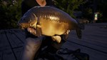 Euro Fishing: Ultimate Edition КЛЮЧ STEAM ROW - изображение № 4