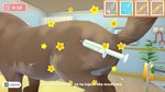 My Universe: Pet Clinic Cats&Dogs КЛЮЧ STEAM ВСЕ СТРА - изображение № 8