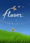 Flower КЛЮЧ STEAM ROW