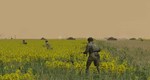 DLC Combat Mission: Red Thunder - Battle Pack 1 КЛЮЧ - изображение № 5