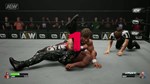 AEW: Fight Forever - Elite Edition КЛЮЧ STEAM Russia+ - изображение № 6