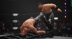 AEW: Fight Forever - Elite Edition КЛЮЧ STEAM Russia+ - изображение № 5