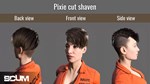 DLC SCUM: Female Hair Pack КЛЮЧ STEAM RU+СНГ (AM, AZ, - изображение № 4
