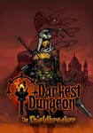 DLC Darkest Dungeon: The Shieldbreaker КЛЮЧ STEAM