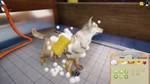 Animal Shelter КЛЮЧ STEAM ВСЕ СТРАНЫ - изображение № 4