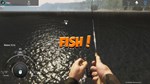 DLC Fishing Adventure: Finland Reserve КЛЮЧ STEAM - изображение № 5