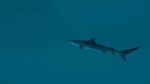 Ultimate Fishing Simulator 2 КЛЮЧ STEAM РФ+СНГ - изображение № 9