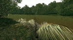 DLC Ultimate Fishing Simulator - Amazon River КЛЮЧ - изображение № 7
