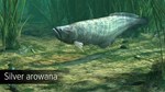 DLC Ultimate Fishing Simulator - Amazon River КЛЮЧ - изображение № 2