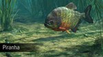 DLC Ultimate Fishing Simulator - Amazon River КЛЮЧ - изображение № 4