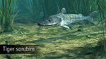 DLC Ultimate Fishing Simulator - Amazon River КЛЮЧ - изображение № 5