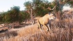 Hunting Simulator КЛЮЧ STEAM РФ+СНГ - изображение № 3